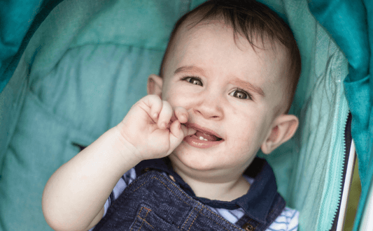 ¿Debería comprar una silla de paseo de segunda mano para mi bebé?