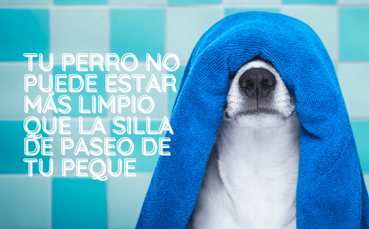 Tu perro no puede estar más limpio que la silla de paseo de tu peque